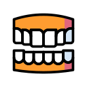dentadura dentistica
