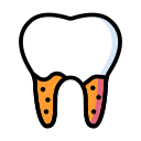 endodontia dente